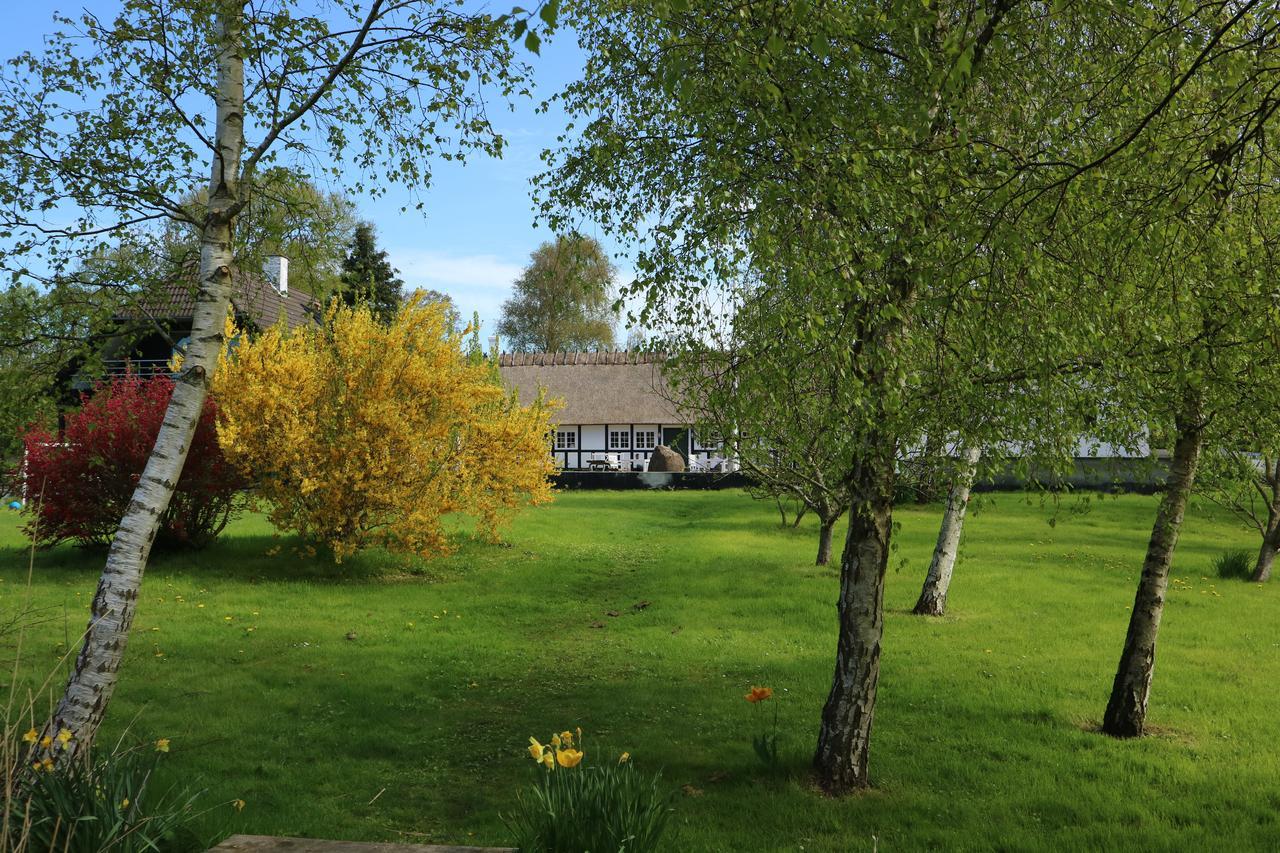 Birkelygaard Bed & Breakfast Hårby Buitenkant foto